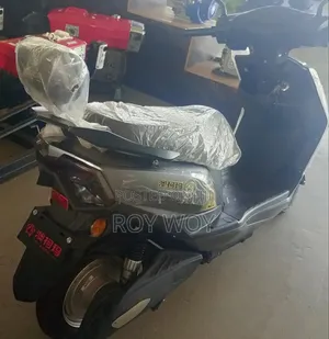 New Motorcycle 2024 Gray