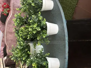 Cup Flowers