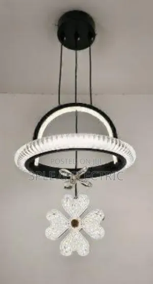 New Modern Led Ceiling Mounted Pendant Light
