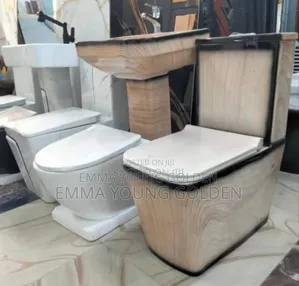 Luxury Ceramic Miniset Wc