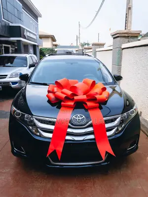 Large Size Brand New Car Bows for Sale
