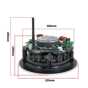Frameless Wifi Bluetooth Ceiling Speaker