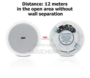 Bass Single Bluetooth Ceiling Speaker