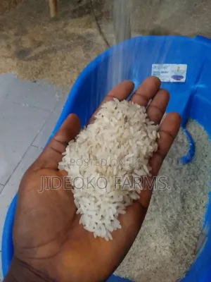Abakaliki Rice (2bushels)