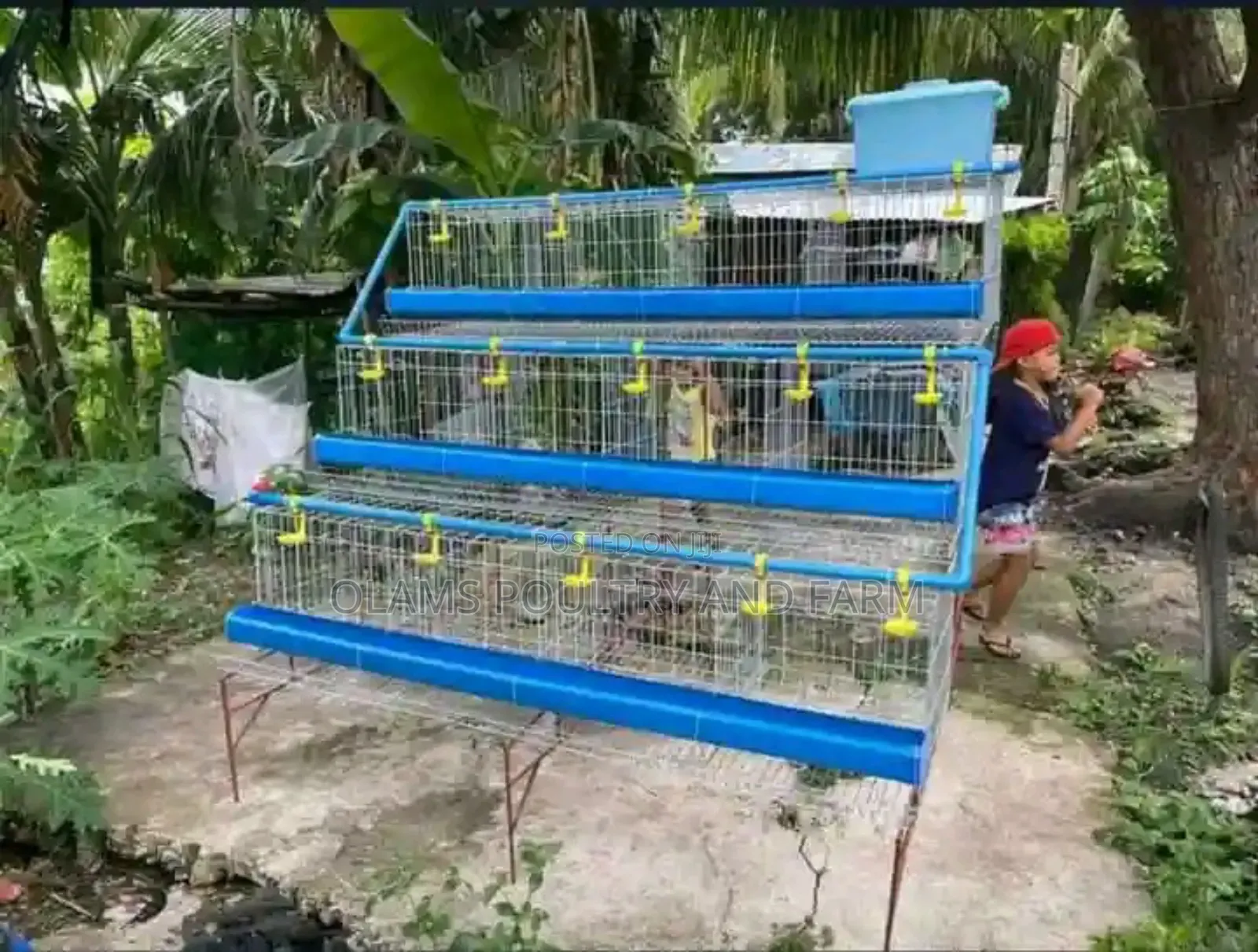 Battery Cage