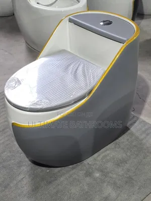 Grey and White Classic Watercloset