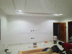 Creative Stucco Designs Application/Painting