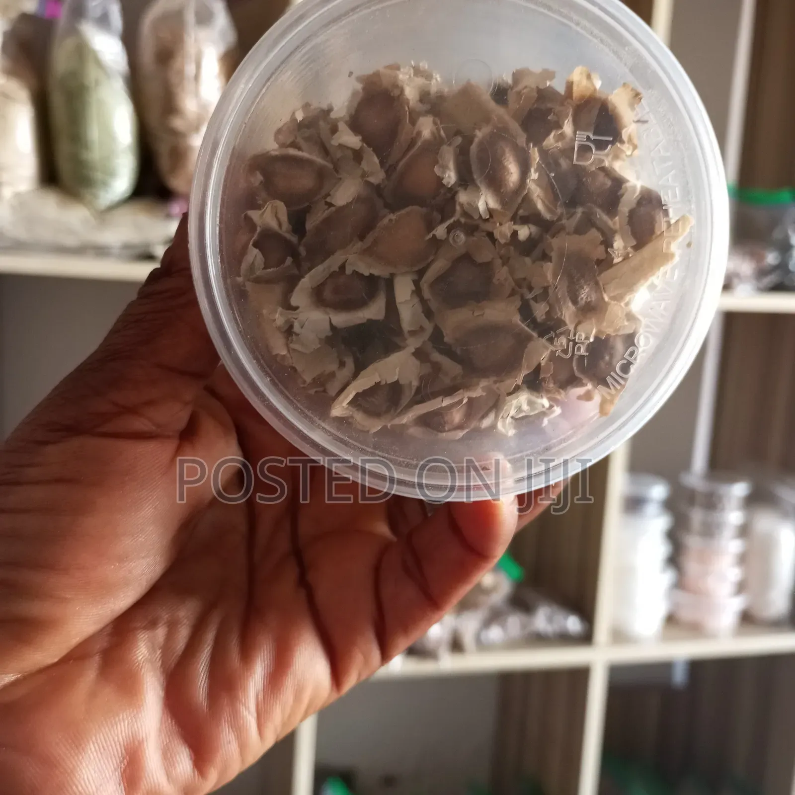 Moringa Seeds