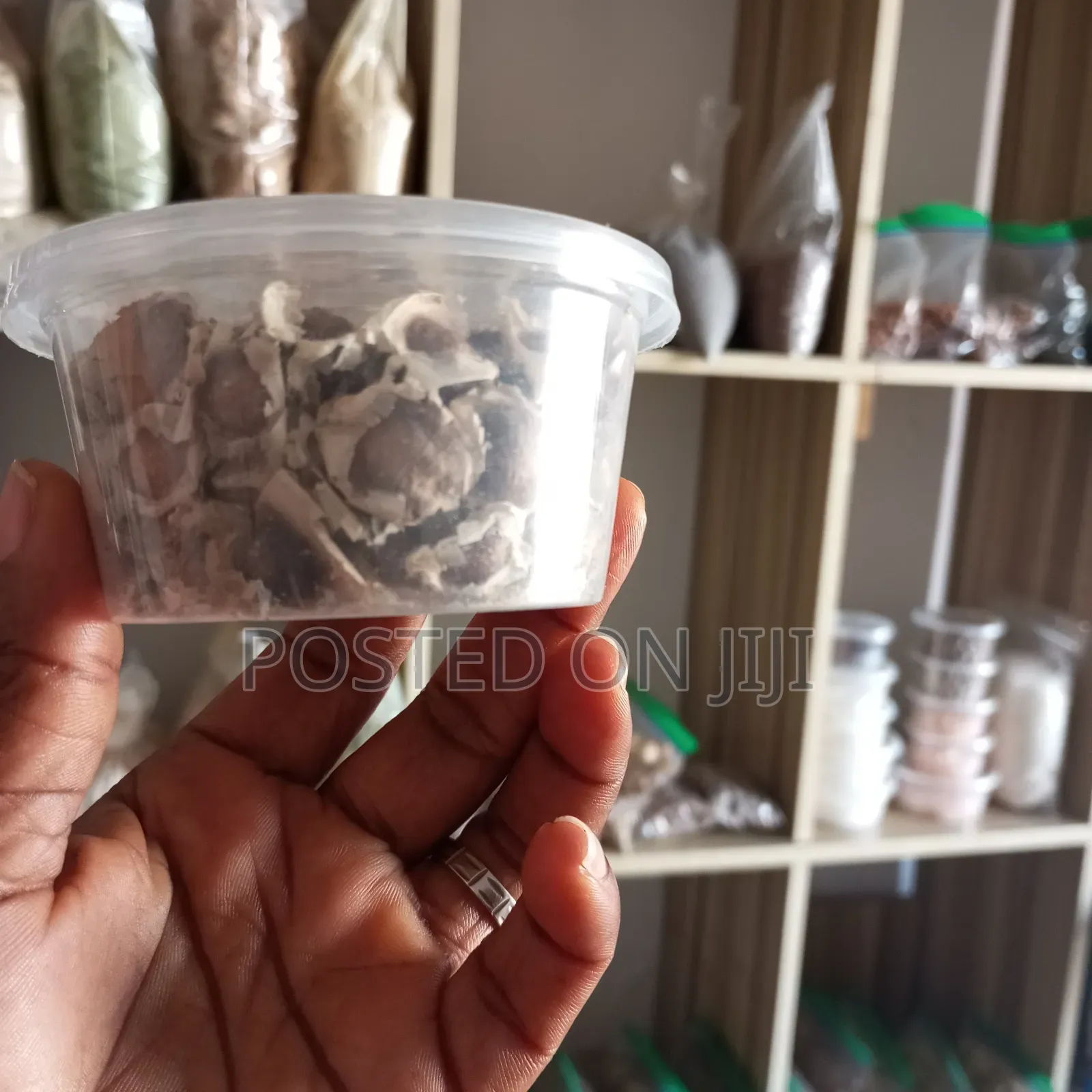 Moringa Seeds