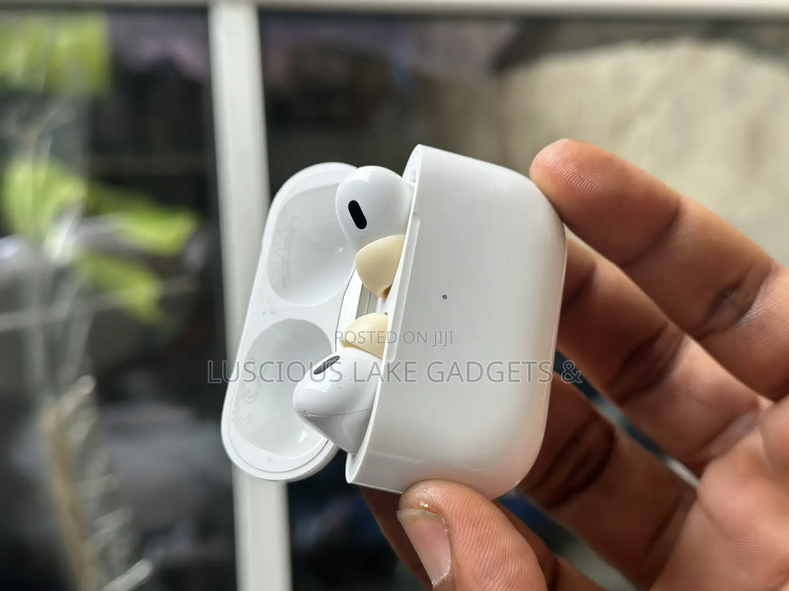 Apple Airpods Pro 2 Type- C