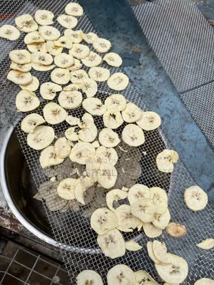 Food Dryer / Plantain Drying Machine Stainless