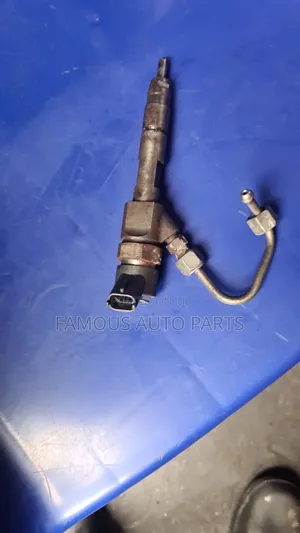 Nozzle 2.0 Diesel  Renault and Nissan Primera