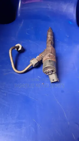Nozzle 2.0 Diesel  Renault and Nissan Primera