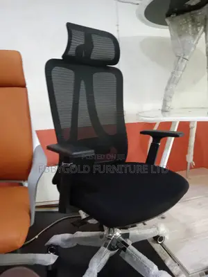 Ergonomic Chair