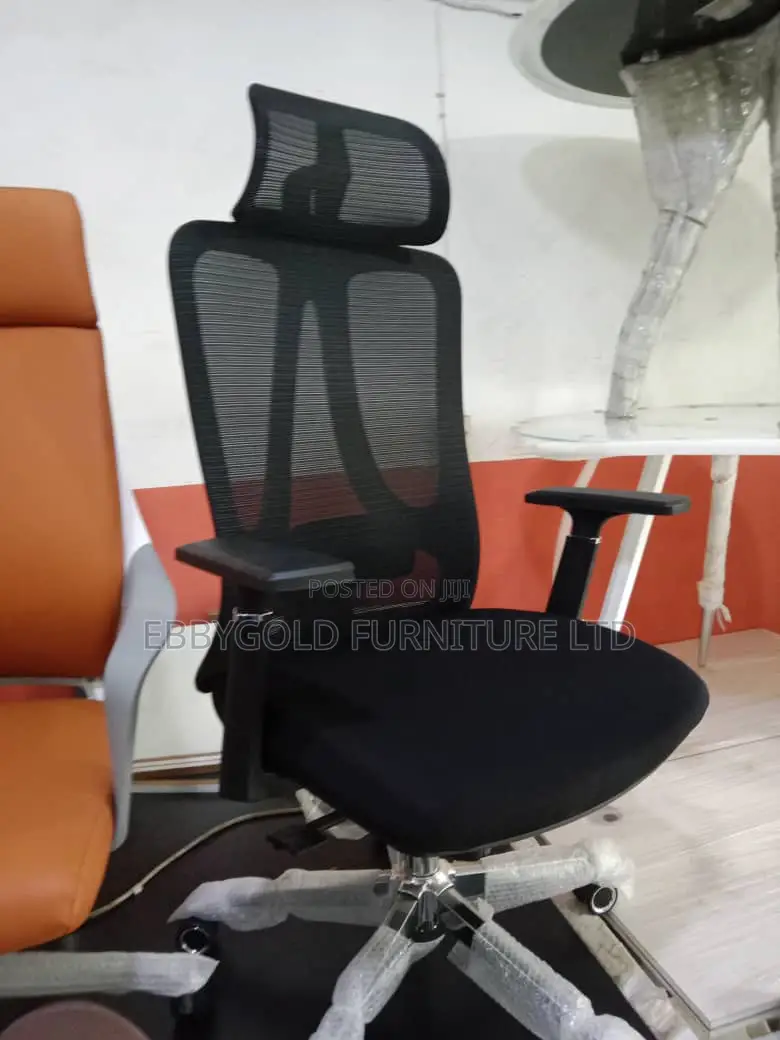 Ergonomic Chair