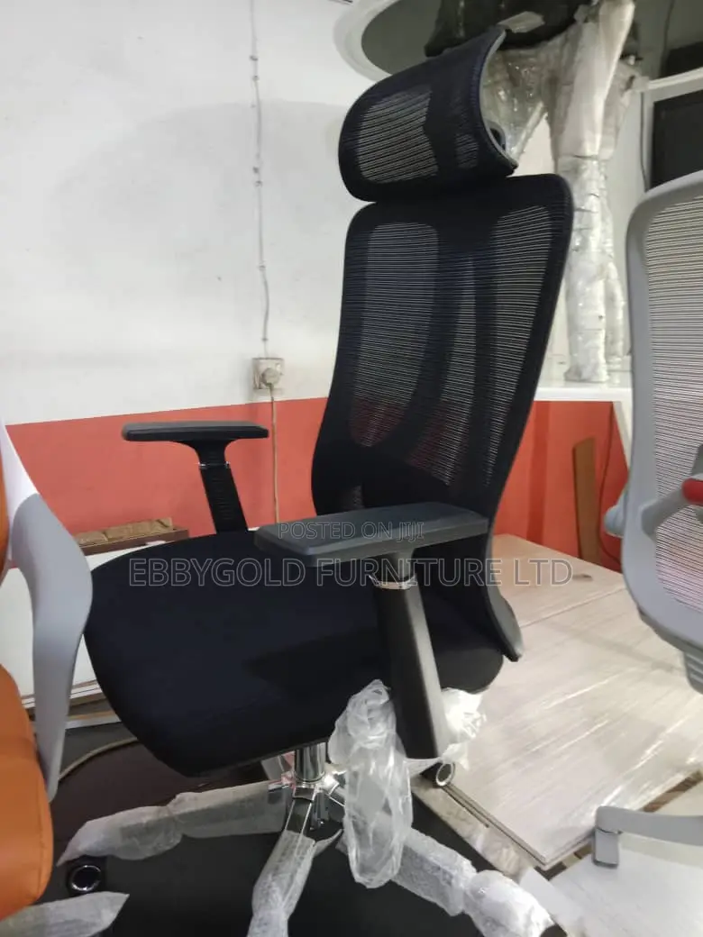 Ergonomic Chair