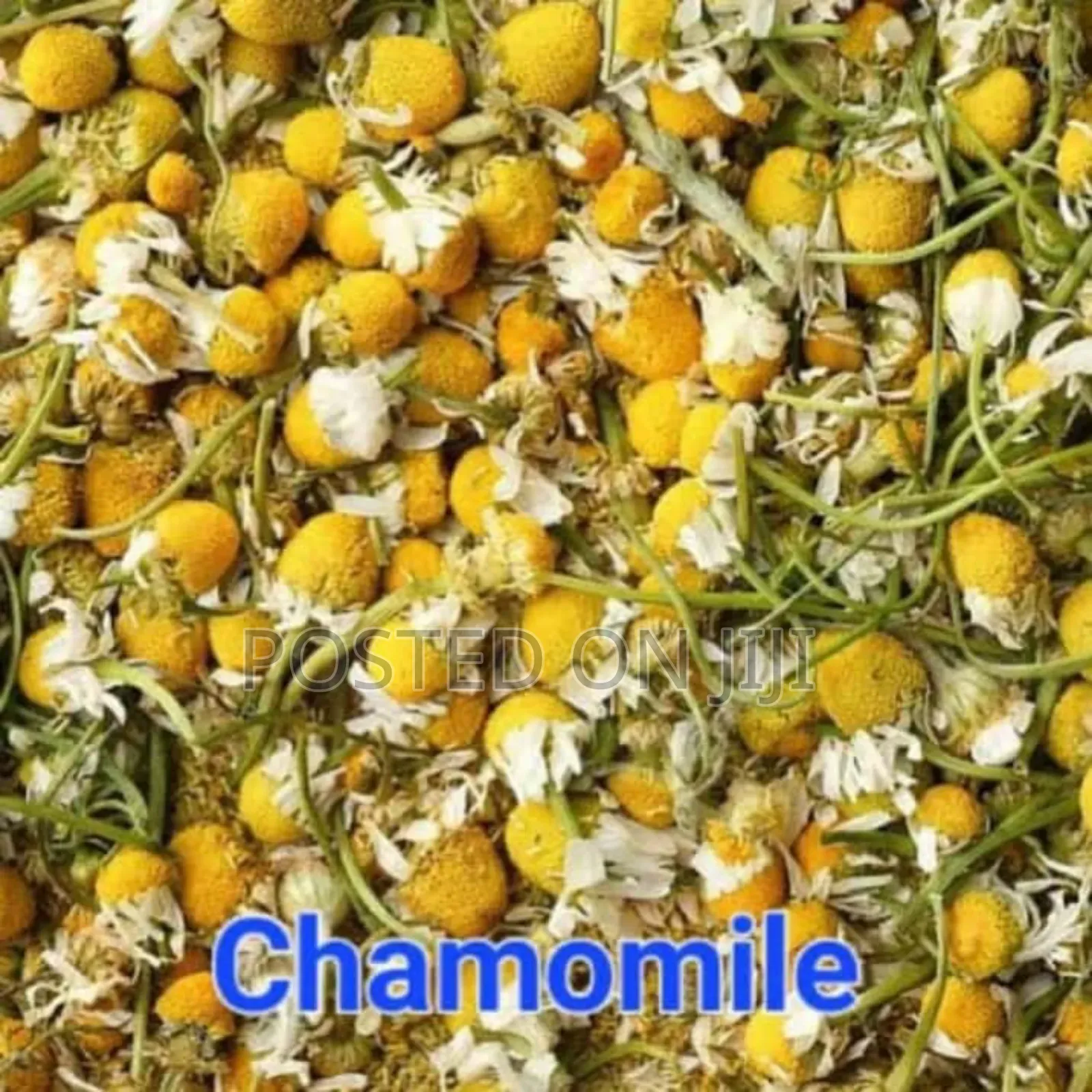 Chamomile 50g