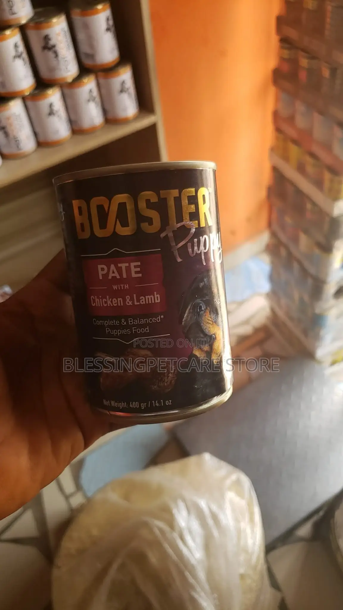 Blessing Pet Care