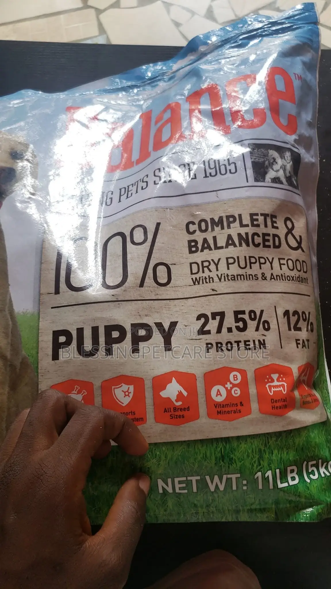 Blessing Pet Care