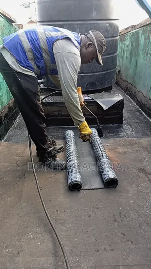Undeniable Waterproofing Expert