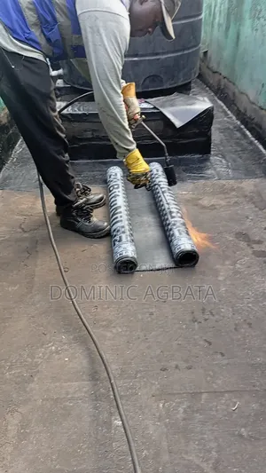 Undeniable Waterproofing Expert