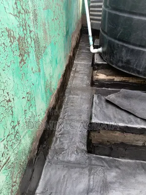 Apodictic Waterproofing Specialist