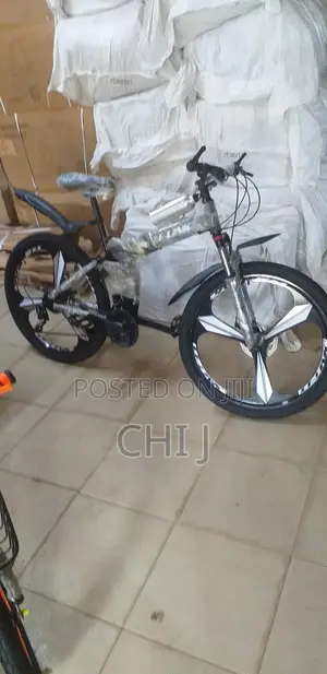 New Arrival Adult Alloy Wheels Foldable Bicycle Available 30 80year.