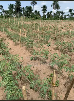 Farm Manager Supervisor and Marketer Needed