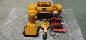 Electric Wire Hoist 3tonsx36m