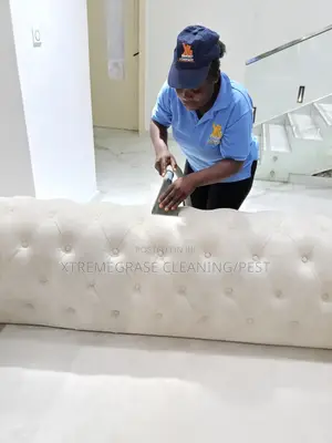Sofa Cleaning