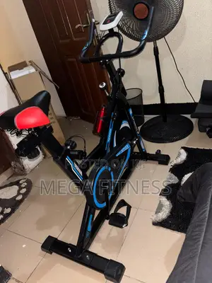 Blue Standard Spin Bike