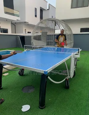 Luxury Table Tennis