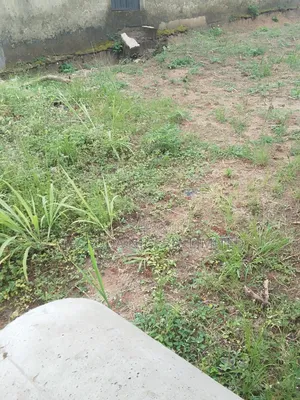 Standard Full Plot of Land Available at Ogba