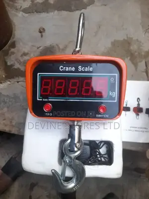 10 Tons Electronic Crane Weighing Scale