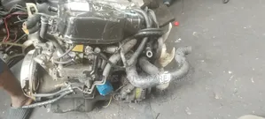 Nissan Frontier Engine Ka24, 12 Valve