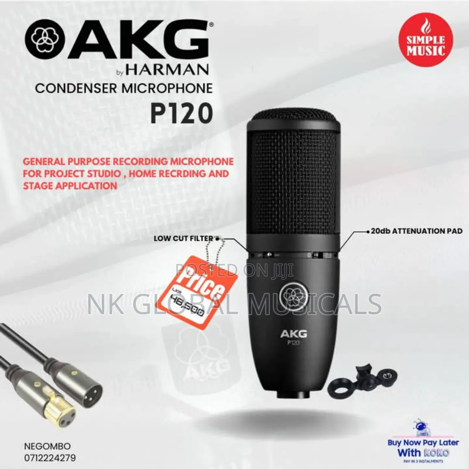 Akg P120 Condenser Mic