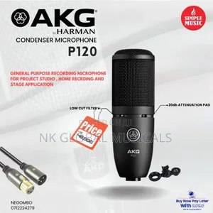Akg P120 Condenser Mic