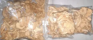 Oyster Mushroom