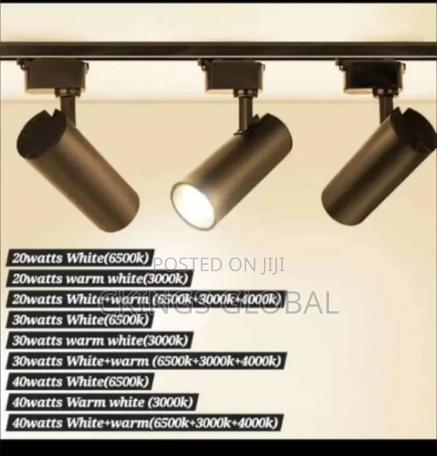 Track Light