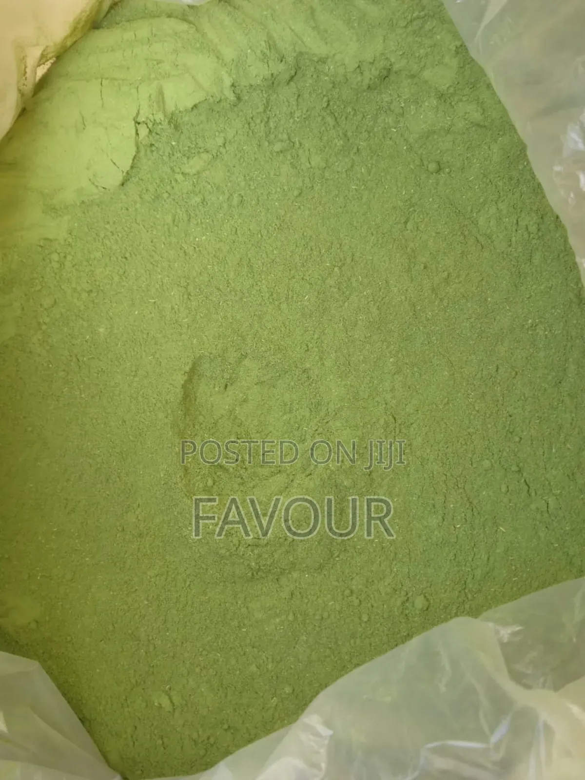 Moringa Seed