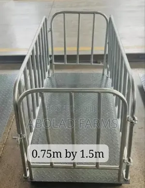 Walk in Scale
