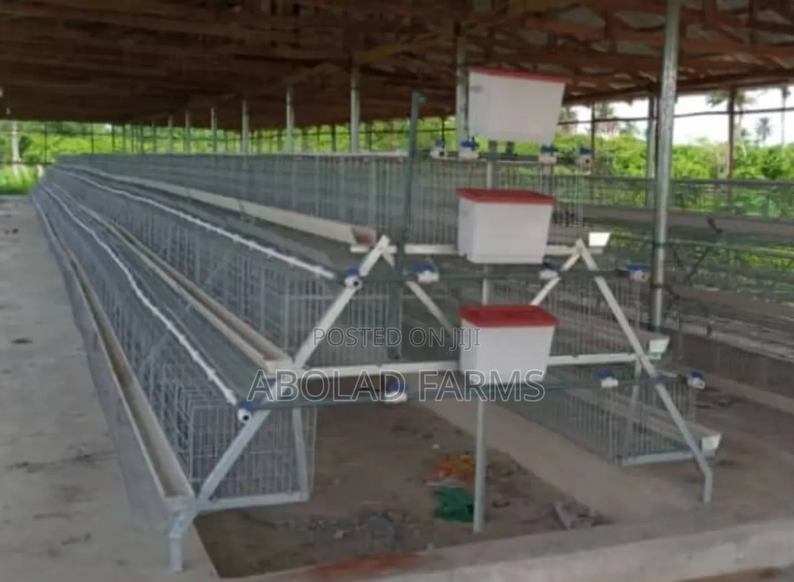 Imported Battery Cage