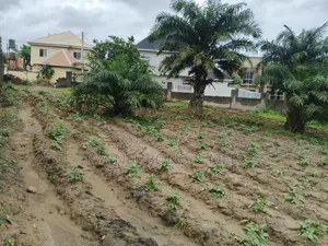 2000sqm. Land for Sale