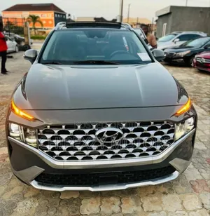 Hyundai Santa Fe 2023 Gray