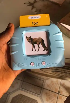 Talking Flash Card Reader for Kids