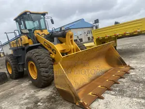 Foreign Used Payloader Machine 2024