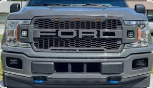 Front Grill F150 2020
