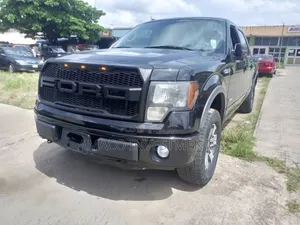 Ford F150 2010 Front Grill