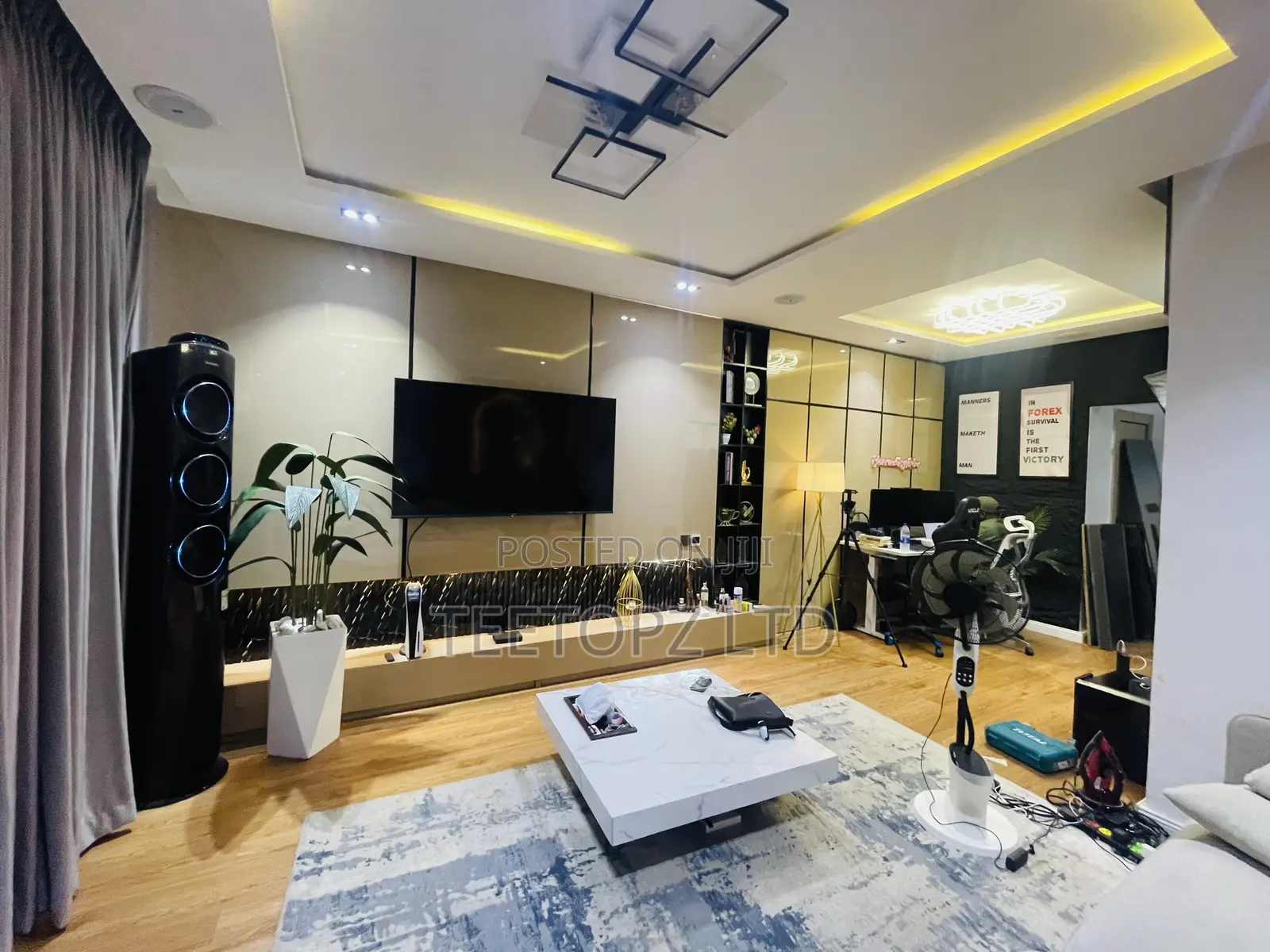 Smart Luxury Tv Console