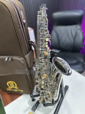 Armstrong Alto Saxophone - Silver Sax